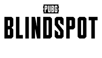 PUBG: BLINDSPOT